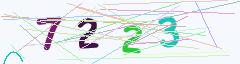 CAPTCHA validation image