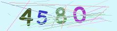 CAPTCHA validation image