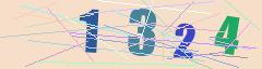 CAPTCHA validation image