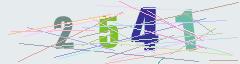 CAPTCHA validation image