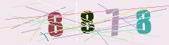CAPTCHA validation image