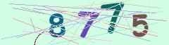 CAPTCHA validation image