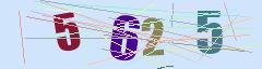 CAPTCHA validation image
