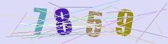 CAPTCHA validation image