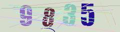 CAPTCHA validation image