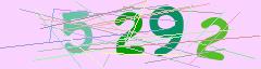 CAPTCHA validation image