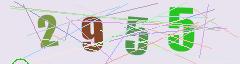 CAPTCHA validation image