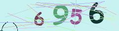 CAPTCHA validation image