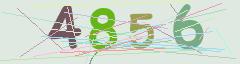 CAPTCHA validation image