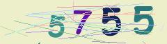 CAPTCHA validation image