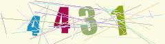 CAPTCHA validation image