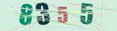 CAPTCHA validation image