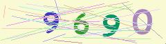 CAPTCHA validation image