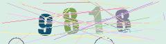 CAPTCHA validation image