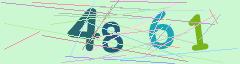 CAPTCHA validation image