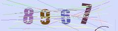 CAPTCHA validation image