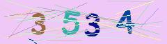 CAPTCHA validation image