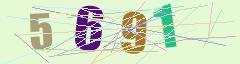CAPTCHA validation image