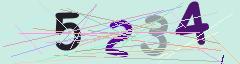 CAPTCHA validation image