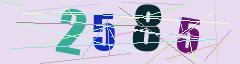 CAPTCHA validation image