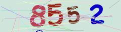 CAPTCHA validation image