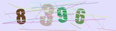 CAPTCHA validation image