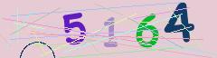 CAPTCHA validation image