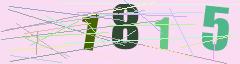 CAPTCHA validation image