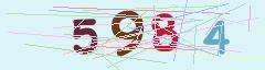 CAPTCHA validation image