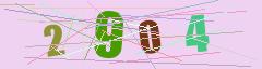 CAPTCHA validation image