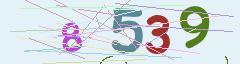 CAPTCHA validation image