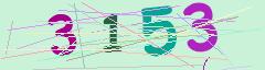 CAPTCHA validation image