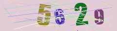 CAPTCHA validation image