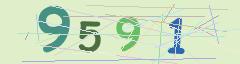CAPTCHA validation image