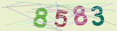 CAPTCHA validation image