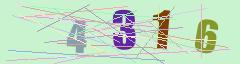 CAPTCHA validation image