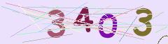 CAPTCHA validation image