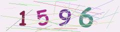 CAPTCHA validation image