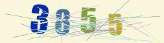 CAPTCHA validation image