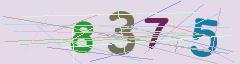CAPTCHA validation image