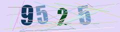 CAPTCHA validation image