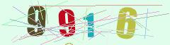 CAPTCHA validation image