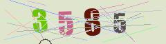 CAPTCHA validation image