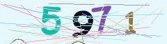 CAPTCHA validation image