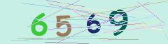 CAPTCHA validation image