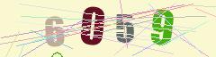 CAPTCHA validation image
