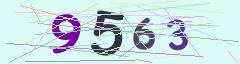 CAPTCHA validation image