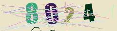 CAPTCHA validation image