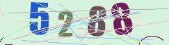 CAPTCHA validation image
