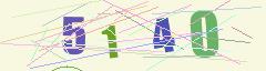 CAPTCHA validation image